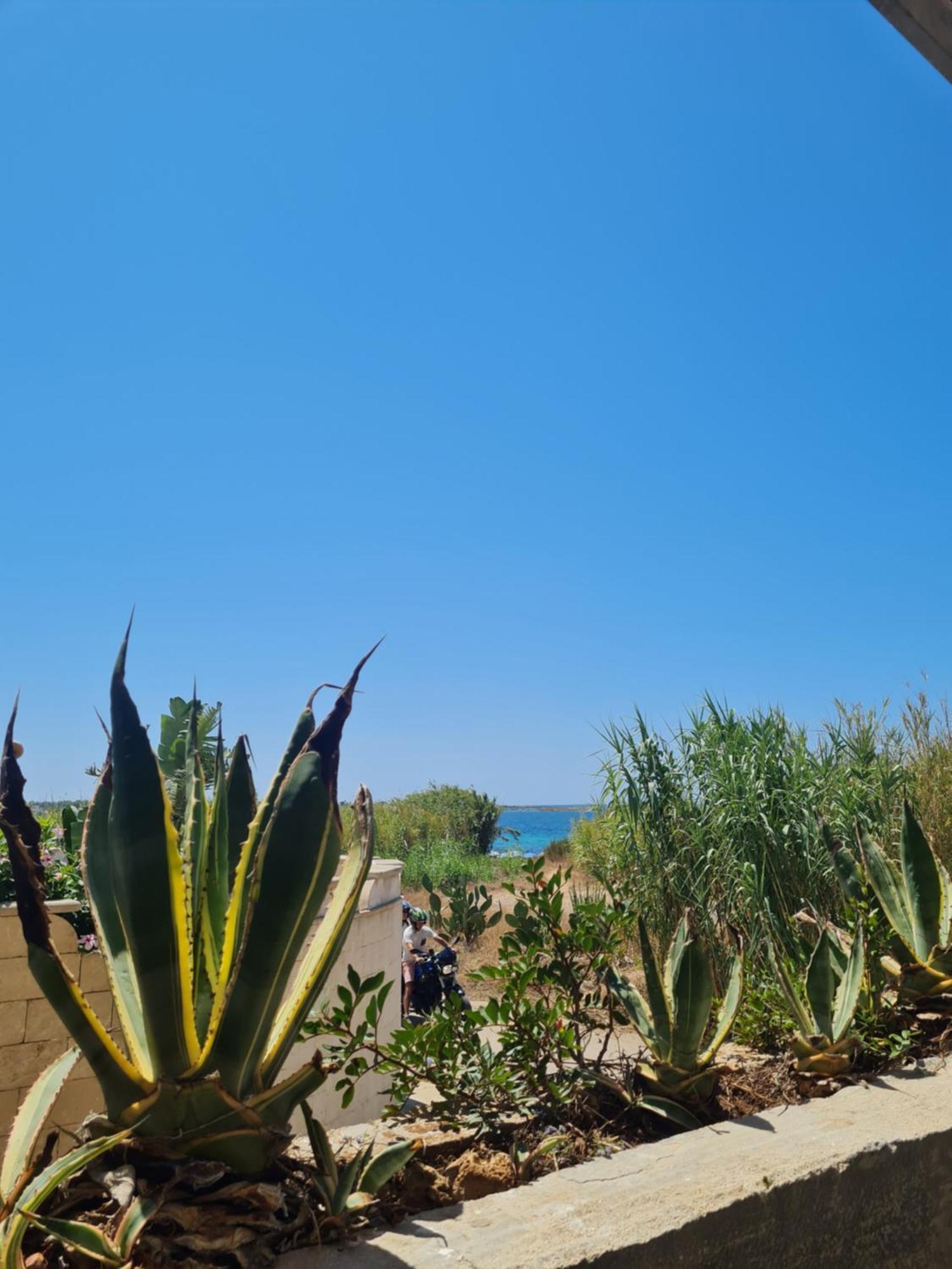 Stella Marina Villa Sant Isidoro  Bagian luar foto
